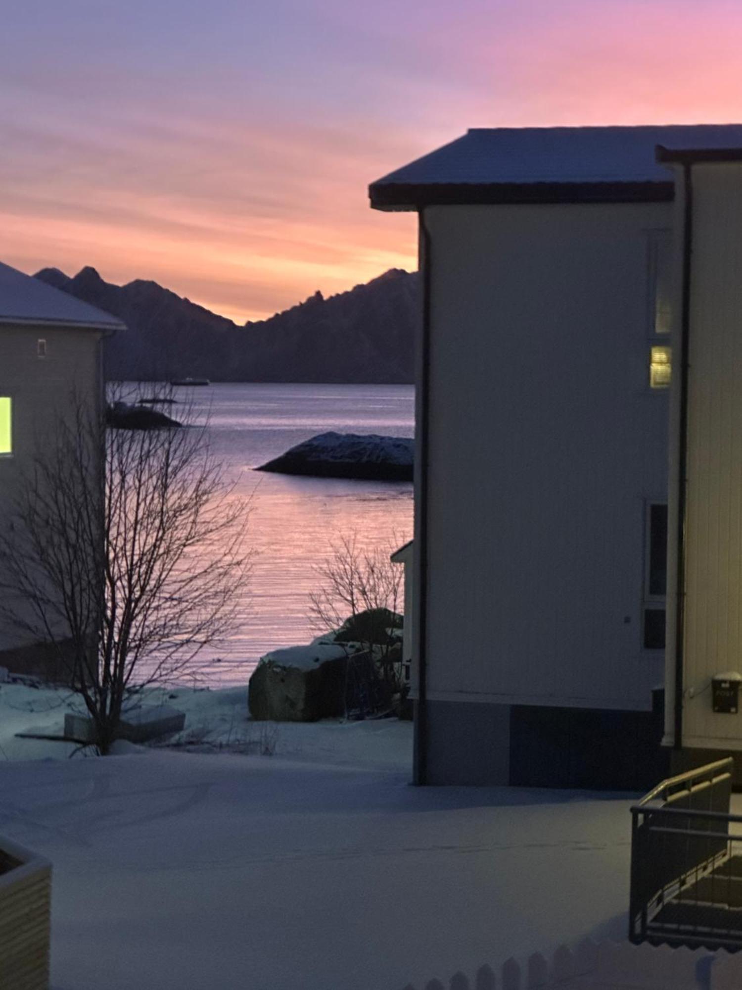 Koselig Hus Naert Havet I Lofoten, Kabelvåg Zewnętrze zdjęcie